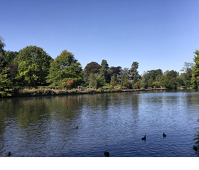 Kelsey Park - Lake